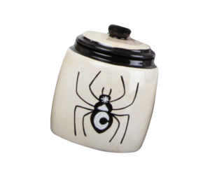 Costa Mesa Celestial Spider Jar
